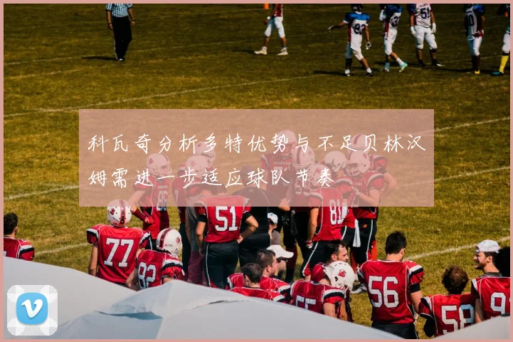 科瓦奇分析多特优势与不足贝林汉姆需进一步适应球队节奏