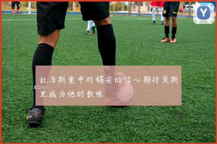 杜马斯重申对锡安的信心期待莫斯里成为他的教练