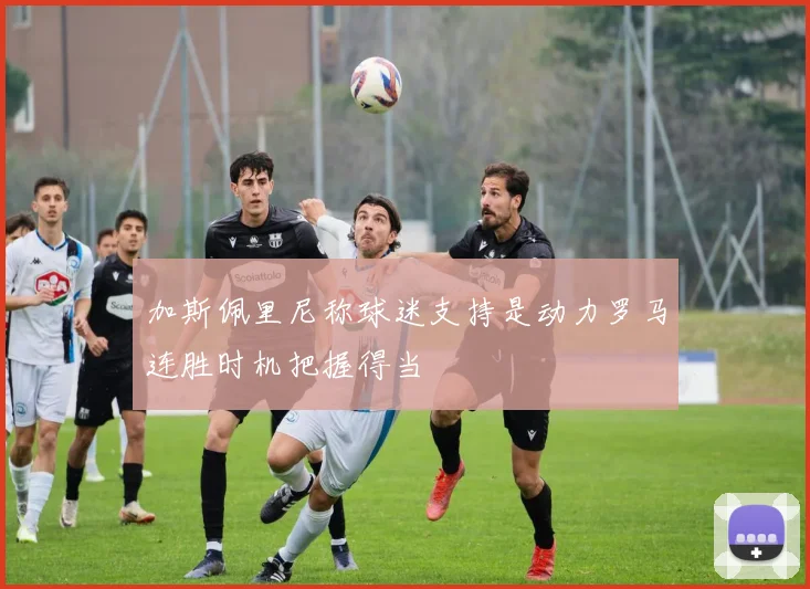 加斯佩里尼称球迷支持是动力罗马连胜时机把握得当